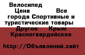 Велосипед Viva Castle › Цена ­ 14 000 - Все города Спортивные и туристические товары » Другое   . Крым,Красногвардейское